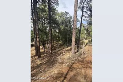 1522 Foxtail Lane, Heber, AZ 85928 - Photo 3