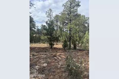 1522 Foxtail Lane, Heber, AZ 85928 - Photo 5