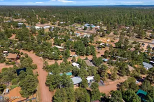 3490 Black Bear Run, Overgaard, AZ 85933 - Photo 33