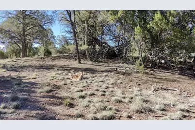 2316 Thunderbird Circle, Overgaard, AZ 85933 - Photo 5