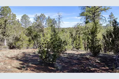 2316 Thunderbird Circle, Overgaard, AZ 85933 - Photo 3