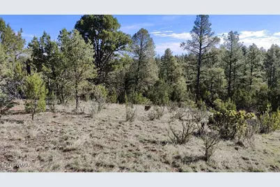 2316 Thunderbird Circle, Overgaard, AZ 85933 - Photo 1