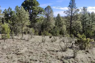 2316 Thunderbird Circle, Overgaard, AZ 85933 - Photo 1
