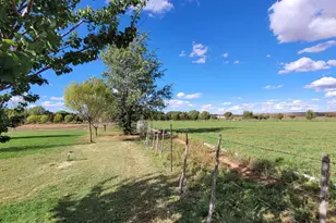 1200 E Center St, Taylor, AZ 85939 - Photo 31