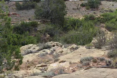 6060 Red Rock Way, Heber, AZ 85928 - Photo 15
