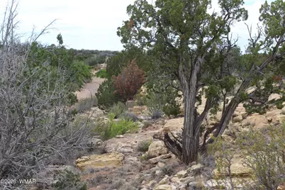 6060 Red Rock Way, Heber, AZ 85928 - Photo 13