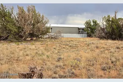 3845 Petersen Road, Snowflake, AZ 85937 - Photo 39