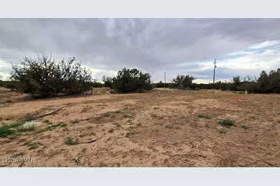 3845 Petersen Road, Snowflake, AZ 85937 - Photo 43