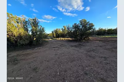 3845 Petersen Road, Snowflake, AZ 85937 - Photo 61