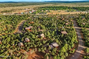 2774 Air Park Dr, Overgaard, AZ 85933 - Photo 41