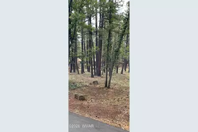 6567 Palomino Drive Lot 165, Unit 3 #3, Pinetop, AZ 85935 - Photo 3