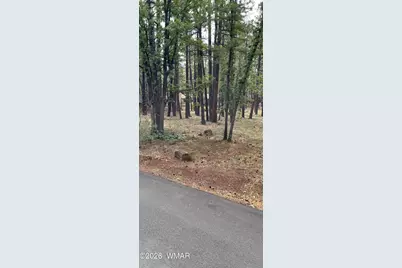 6567 Palomino Drive Lot 165, Unit 3 #3, Pinetop, AZ 85935 - Photo 1