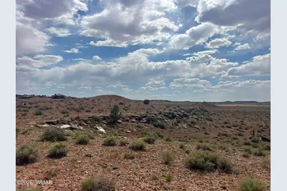 9518 Woodruff Hay Hollow Road, Snowflake, AZ 85937 - Photo 141