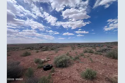 9518 Woodruff Hay Hollow Road, Snowflake, AZ 85937 - Photo 133