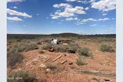 9518 Woodruff Hay Hollow Road, Snowflake, AZ 85937 - Photo 137