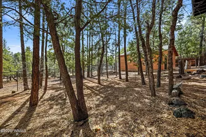 4893 Big Pine Drive, Lakeside, AZ 85929 - Photo 37