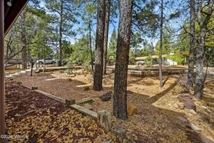 4893 Big Pine Dr, Lakeside, AZ 85929 - Photo 5