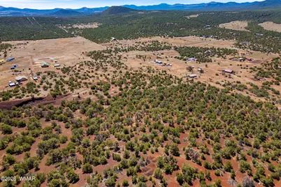 11 County Road N3557, Vernon, AZ 85940 - Photo 5