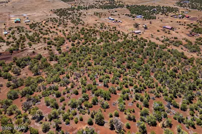 11 County Road N3557, Vernon, AZ 85940 - Photo 7