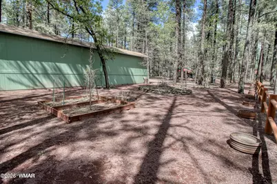 1344 S Sandstone Drive, Pinetop, AZ 85935 - Photo 25