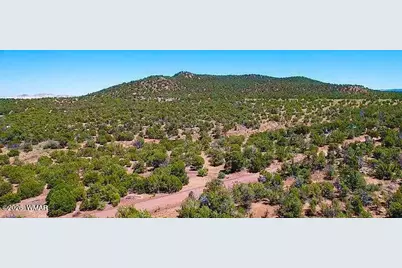 9 County Road 3036, Concho, AZ 85924 - Photo 9