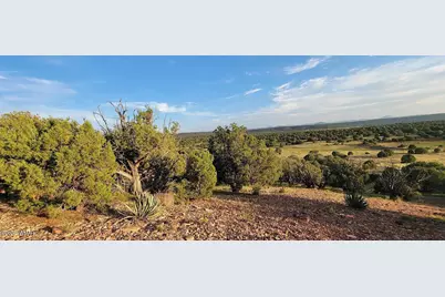9 County Road 3036, Concho, AZ 85924 - Photo 3