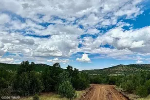 9 Co Rd 3036, Concho, AZ 85924 - Photo 1
