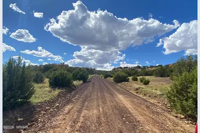 9 County Road 3036, Concho, AZ 85924 - Photo 5