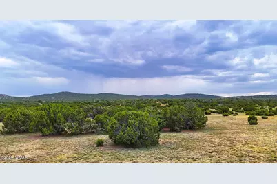 9 County Road 3036, Concho, AZ 85924 - Photo 7