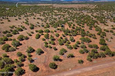84 County Road N8149 Road, Concho, AZ 85924 - Photo 5