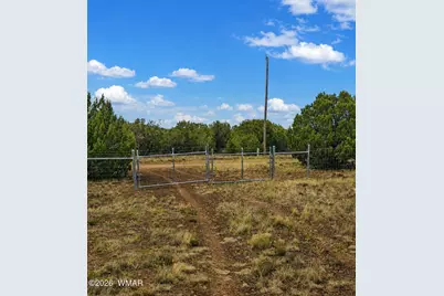 84 County Road N8149 Road, Concho, AZ 85924 - Photo 9