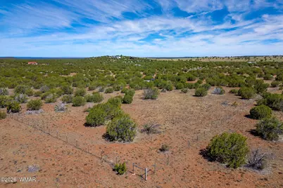 84 County Road N8149 Road, Concho, AZ 85924 - Photo 3