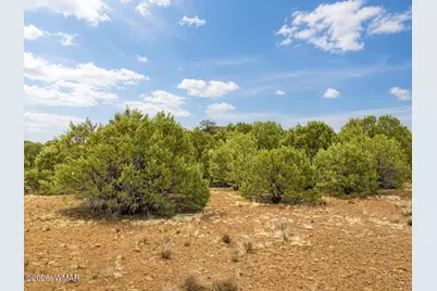 15 County Road 3180, Vernon, AZ 85940 - Photo 5