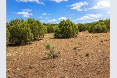 15 County Road 3180, Vernon, AZ 85940 - Photo 3