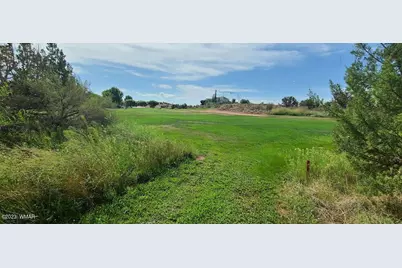 1881 W Sandtrap Lane, Snowflake, AZ 85937 - Photo 3