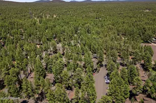 2860 Park Cir, Pinetop, AZ 85935 - Photo 29