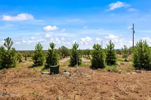 8085 Well Rd, Show Low, AZ 85901 - Photo 29
