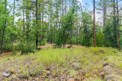 2094 Brown Bear Loop, Pinetop, AZ 85935 - Photo 3