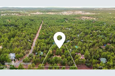 1316 N Pine Rest Drive, Lakeside, AZ 85929 - Photo 3