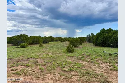 83 County Rd. 8128, Concho, AZ 85924 - Photo 7