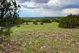 83 County Rd 8128, Concho, AZ 85924 - Photo 1