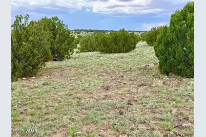 83 County Rd. 8128, Concho, AZ 85924 - Photo 15