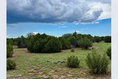 83 County Rd. 8128, Concho, AZ 85924 - Photo 3