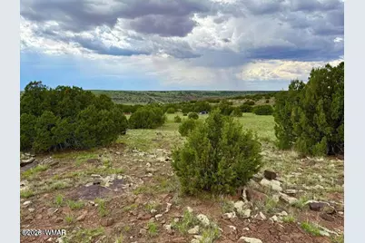 83 County Rd. 8128, Concho, AZ 85924 - Photo 9