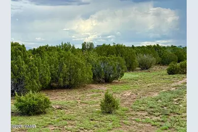 85 Cr 8128 Lots 100, 101 &amp; 108, Concho, AZ 85924 - Photo 3