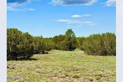85 Cr 8128 Lots 100, 101 &amp; 108, Concho, AZ 85924 - Photo 1