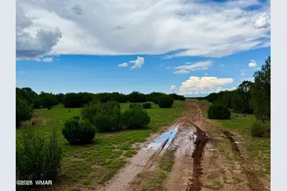 85 Cr 8128 Lots 100, 101 &amp; 108, Concho, AZ 85924 - Photo 17