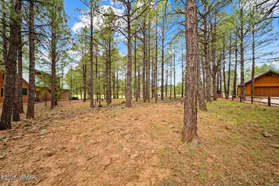 3194 Viking Trail, Pinetop, AZ 85935 - Photo 3