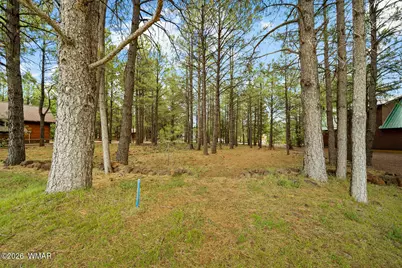 3194 Viking Trail, Pinetop, AZ 85935 - Photo 1