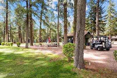 3194 Viking Trail, Pinetop, AZ 85935 - Photo 13